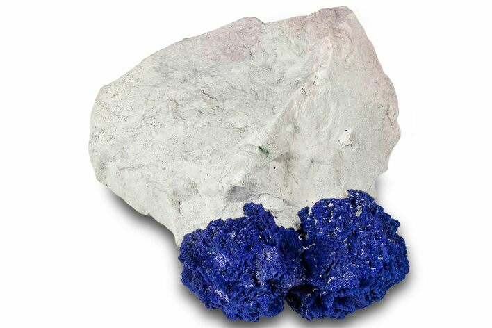 Vibrant Blue Azurite Suns on Siltstone - Australia #318767